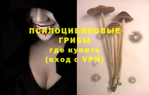 кристаллы Белокуриха