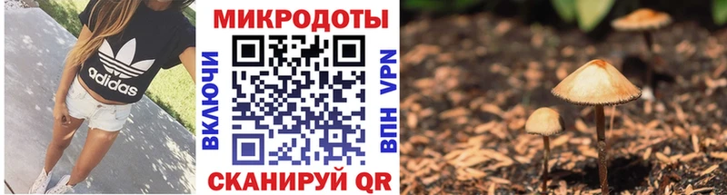 Галлюциногенные грибы Cubensis  Гудермес 