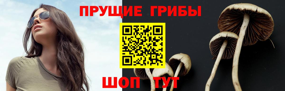 Галлюциногенные грибы Magic Shrooms  где продают   Галлюциногенные грибы Psilocybine cubensis  Гудермес  Вход с VPN 