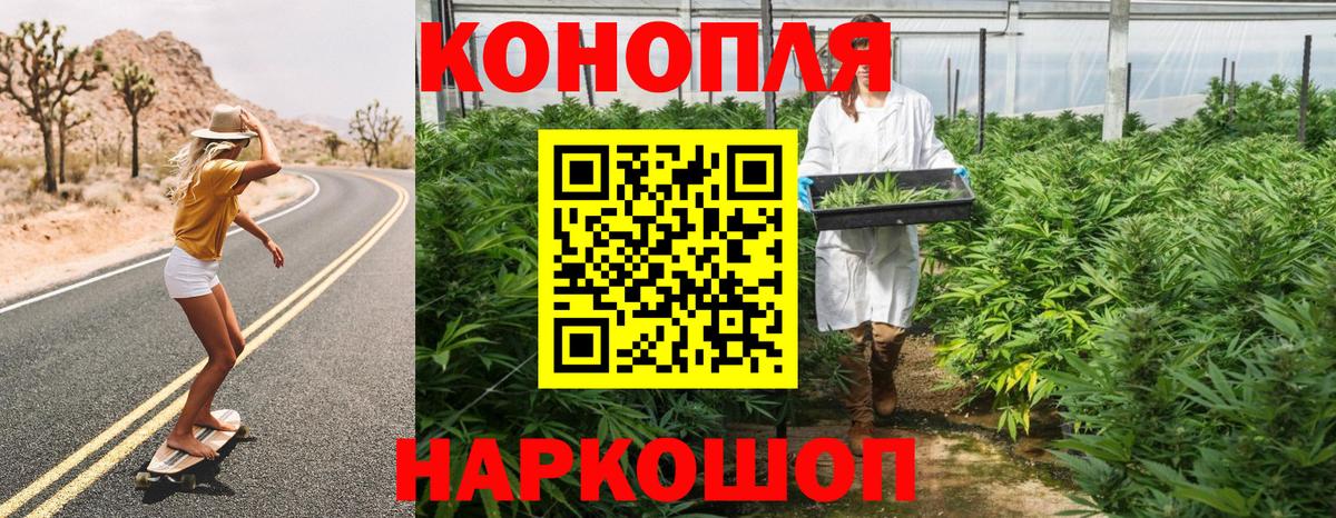 Конопля White Widow Гудермес